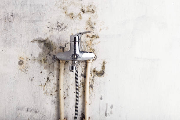 Mold Testing and Removal in Melrose, MA